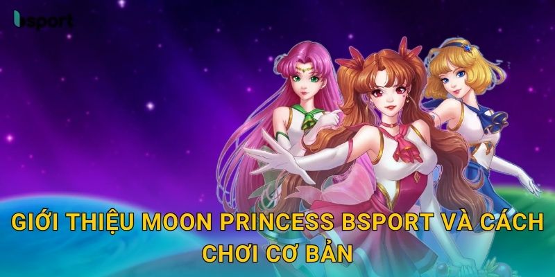 Giới thiệu Moon Princess Bsport và cách chơi cơ bản