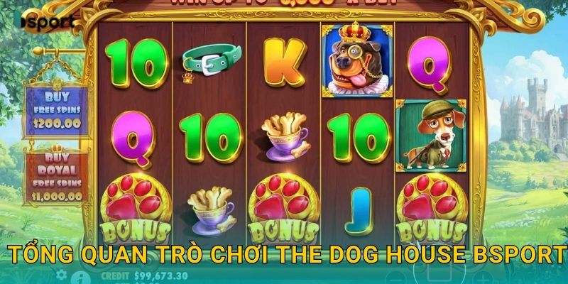Tổng quan trò chơi The Dog House Bsport