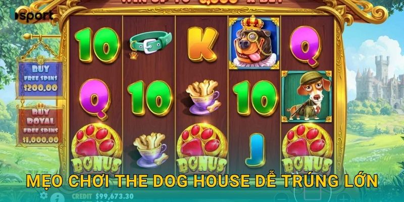 Mẹo chơi The Dog House dễ trúng lớn