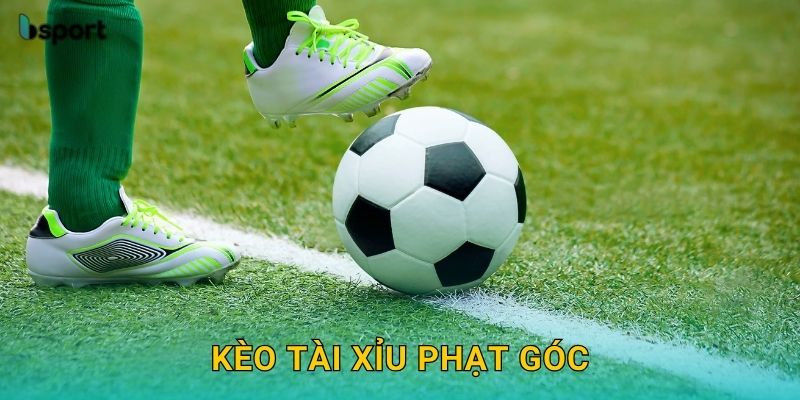 Kèo tài xỉu phạt góc – Thống kê chuẩn xác cùng Bsport