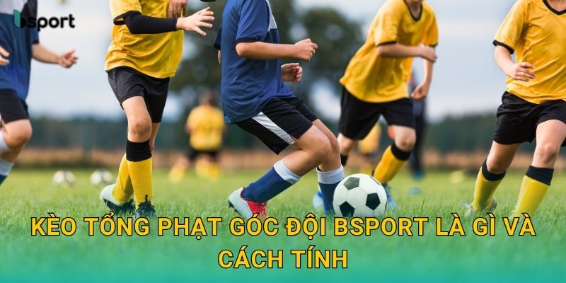 Kèo tổng phạt góc đội Bsport là gì và cách tính