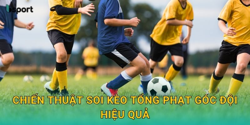 Chiến thuật soi kèo tổng phạt góc đội hiệu quả