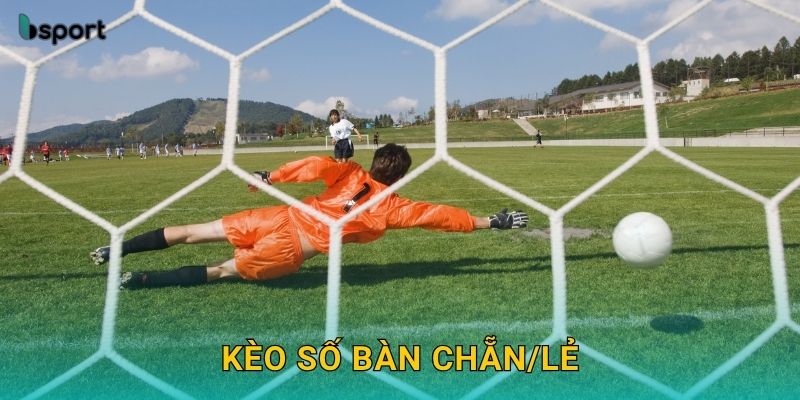 Kèo số bàn chẵn/lẻ – Dự đoán tỷ số thú vị tại Bsport