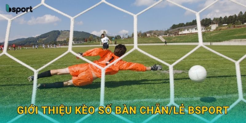Giới thiệu kèo số bàn chẵn/lẻ Bsport