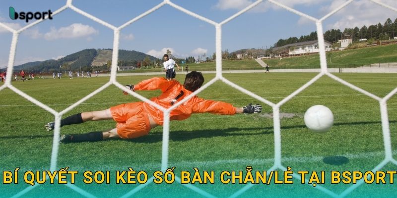 Bí quyết soi kèo số bàn chẵn/lẻ tại Bsport