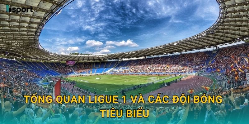 Tổng quan Ligue 1 và các đội bóng tiêu biểu