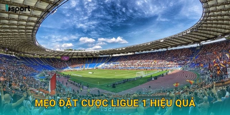 Mẹo đặt cược Ligue 1 hiệu quả