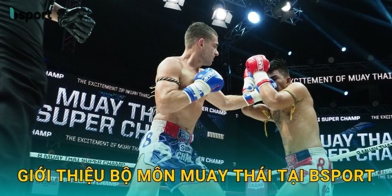 Giới thiệu bộ môn Muay Thái tại Bsport