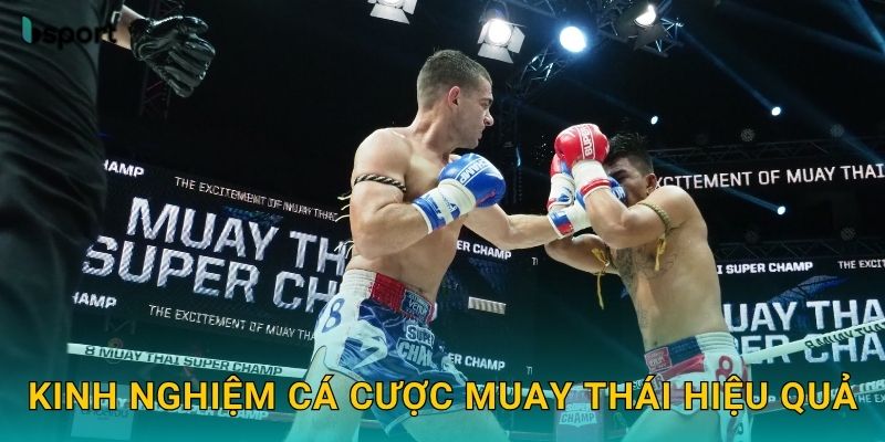 Kinh nghiệm cá cược Muay Thái hiệu quả