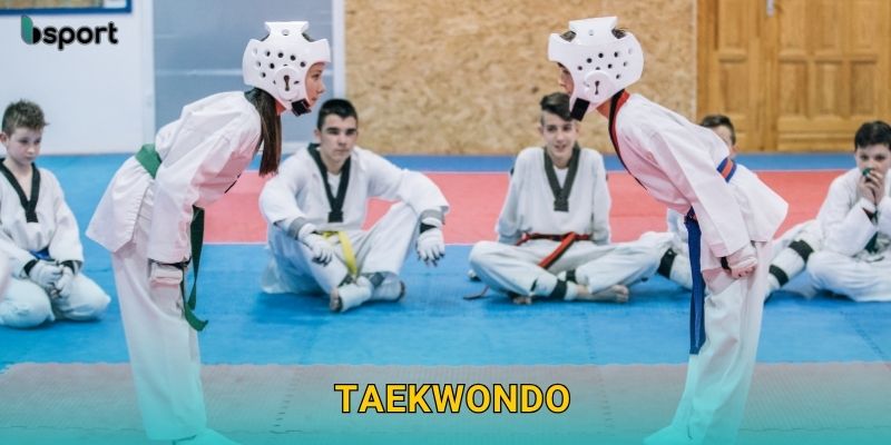 Taekwondo – Sự kết hợp tốc độ và chiến thuật tại Bsport