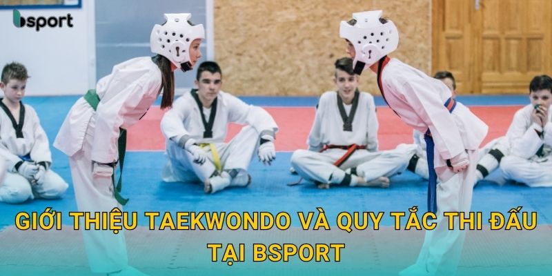 Giới thiệu Taekwondo và quy tắc thi đấu tại Bsport